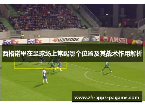 西格诺里在足球场上常踢哪个位置及其战术作用解析 西格诺里在足球场上常踢哪个位置及其战术作用解析