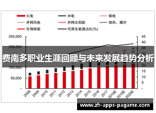 费南多职业生涯回顾与未来发展趋势分析