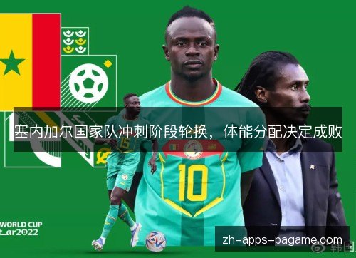 塞内加尔国家队冲刺阶段轮换,体能分配决定成败 塞内加尔国家队冲刺阶段轮换,体能分配决定成败